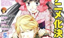 半妖少女绮丽谭漫画,妖与人的爱恨纠葛，探寻半妖的宿命之旅